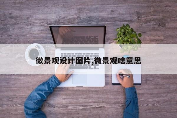 微景观设计图片,微景观啥意思