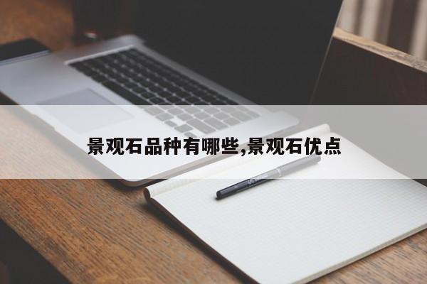 景观石品种有哪些,景观石优点