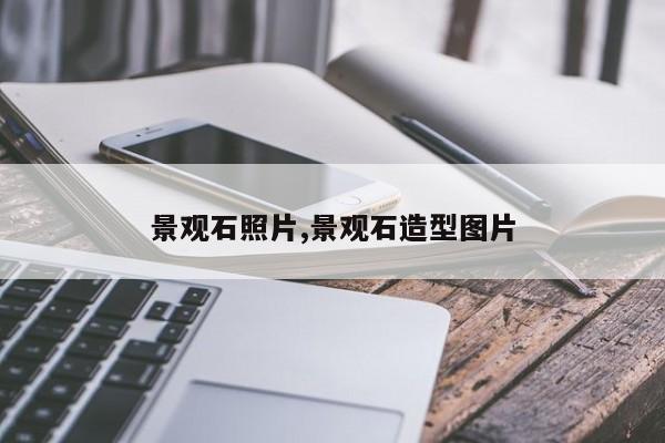 景观石照片,景观石造型图片