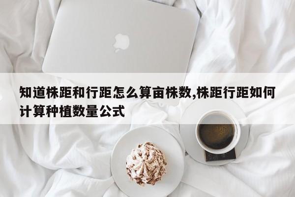 知道株距和行距怎么算亩株数,株距行距如何计算种植数量公式
