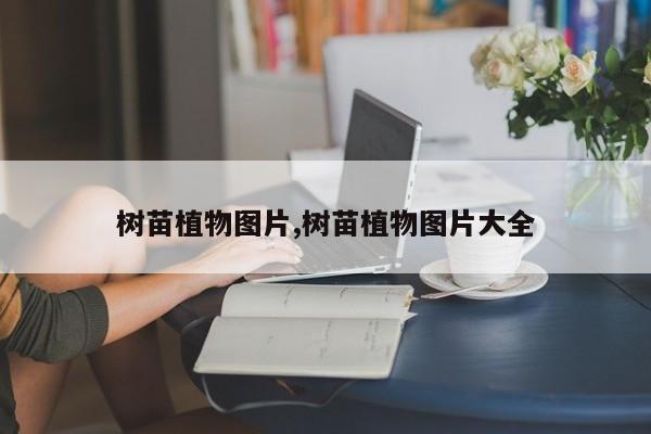树苗植物图片,树苗植物图片大全