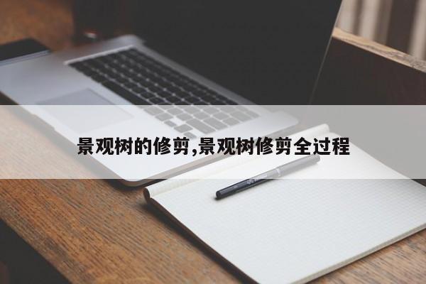 景观树的修剪,景观树修剪全过程