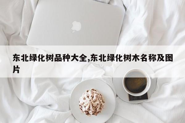 东北绿化树品种大全,东北绿化树木名称及图片
