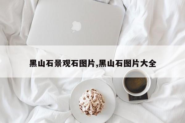黑山石景观石图片,黑山石图片大全