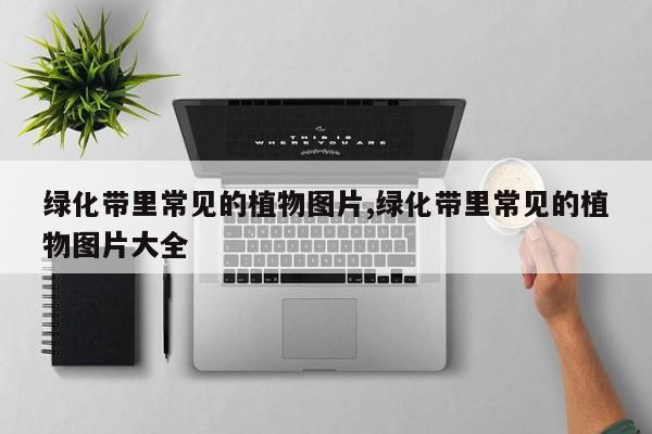 绿化带里常见的植物图片,绿化带里常见的植物图片大全