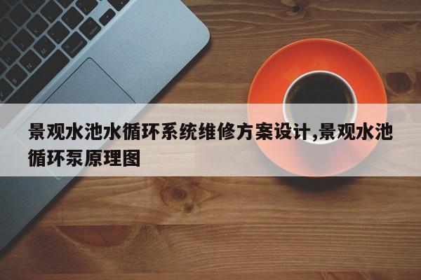 景观水池水循环系统维修方案设计,景观水池循环泵原理图