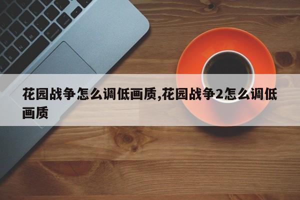 花园战争怎么调低画质,花园战争2怎么调低画质