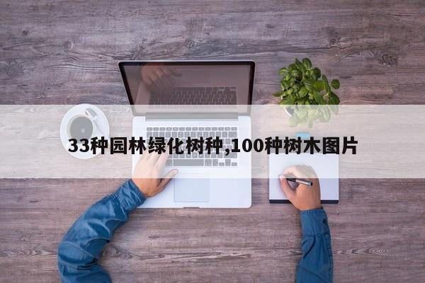 33种园林绿化树种,100种树木图片