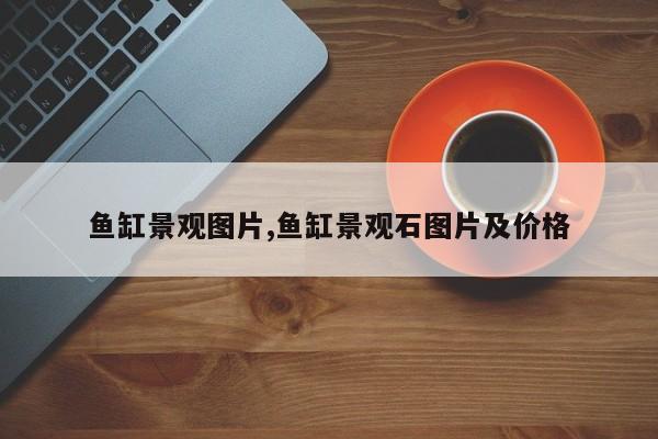 鱼缸景观图片,鱼缸景观石图片及价格
